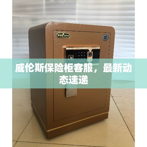 威伦斯保险柜客服,最新动态速递 威伦斯保险柜客服,最新动态速递