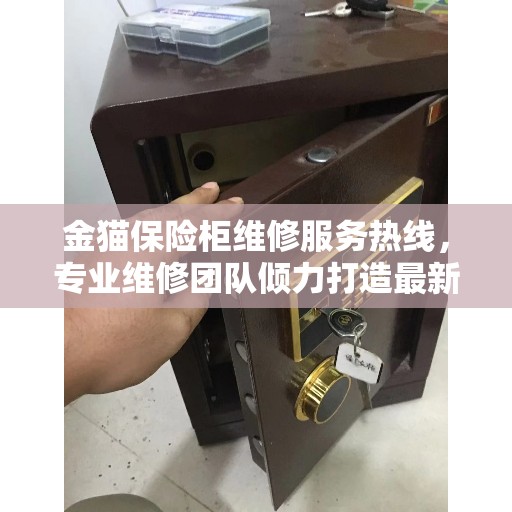 金猫保险柜维修服务热线，专业维修团队倾力打造最新权威推荐服务