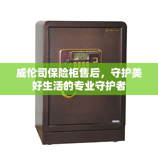 威伦司保险柜售后，守护美好生活的专业守护者
