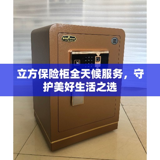 立方保险柜全天候服务,守护美好生活之选 立方保险柜全天候服务,守护美好生活之选