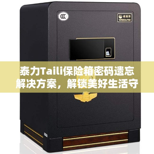泰力Taili保险箱密码遗忘解决方案，解锁美好生活守护者