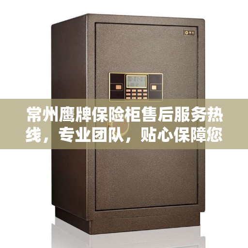 常州鹰牌保险柜售后服务热线，专业团队，贴心保障您的安全之选