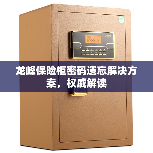 龙峰保险柜密码遗忘解决方案，权威解读