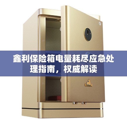 鑫利保险箱电量耗尽应急处理指南，权威解读