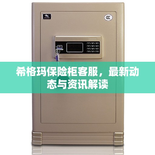 希格玛保险柜客服，最新动态与资讯解读