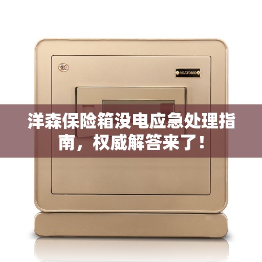 洋森保险箱没电应急处理指南，权威解答来了！