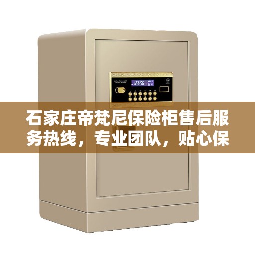 石家庄帝梵尼保险柜售后服务热线，专业团队，贴心保障