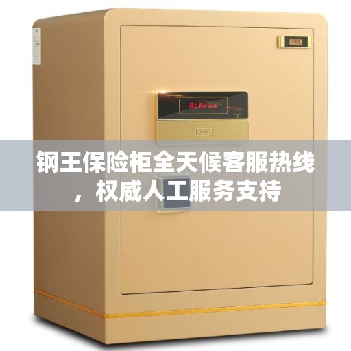 钢王保险柜全天候客服热线，权威人工服务支持