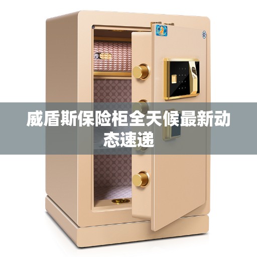 威盾斯保险柜全天候最新动态速递 威盾斯保险柜全天候最新动态速递