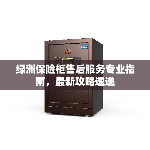 绿洲保险柜售后服务专业指南，最新攻略速递
