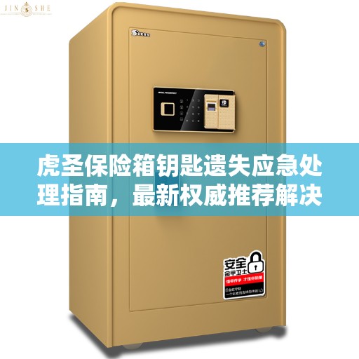 虎圣保险箱钥匙遗失应急处理指南，最新权威推荐解决方案