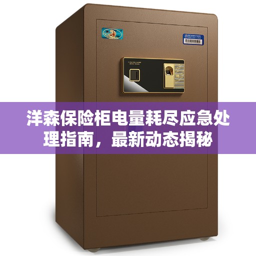 洋森保险柜电量耗尽应急处理指南，最新动态揭秘
