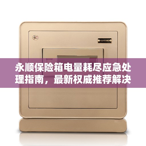 永顺保险箱电量耗尽应急处理指南，最新权威推荐解决方案
