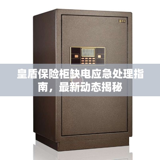 皇盾保险柜缺电应急处理指南，最新动态揭秘