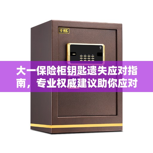 大一保险柜钥匙遗失应对指南，专业权威建议助你应对困境