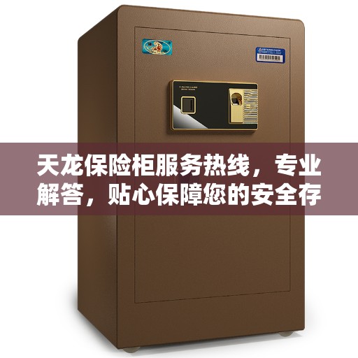天龙保险柜服务热线，专业解答，贴心保障您的安全存储需求