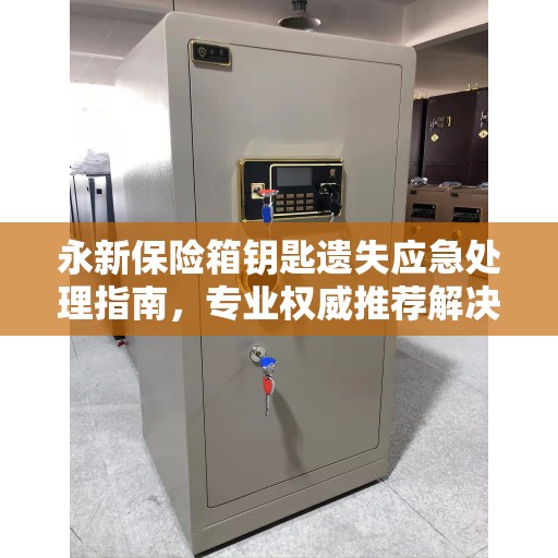永新保险箱钥匙遗失应急处理指南，专业权威推荐解决方案