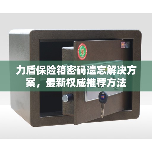 力盾保险箱密码遗忘解决方案，最新权威推荐方法