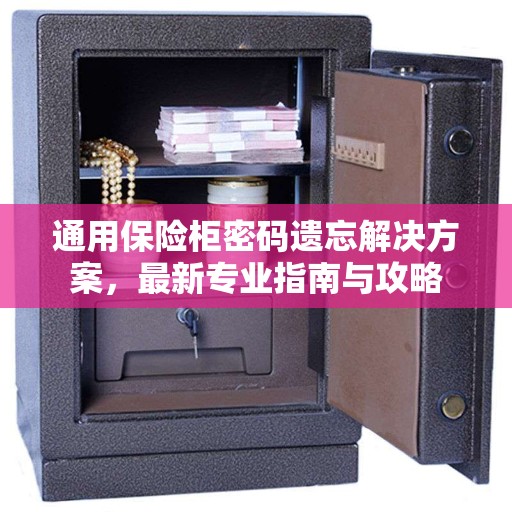 通用保险柜密码遗忘解决方案，最新专业指南与攻略