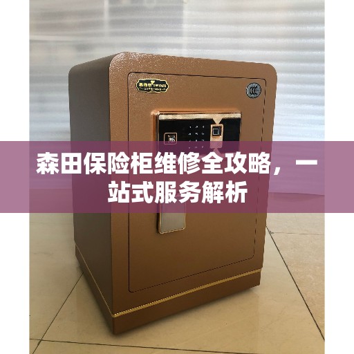 森田保险柜维修全攻略，一站式服务解析