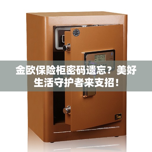 金欧保险柜密码遗忘？美好生活守护者来支招！
