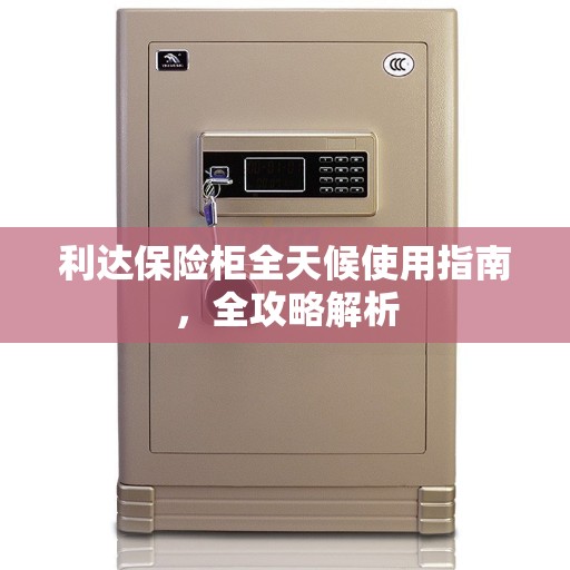 利达保险柜全天候使用指南，全攻略解析