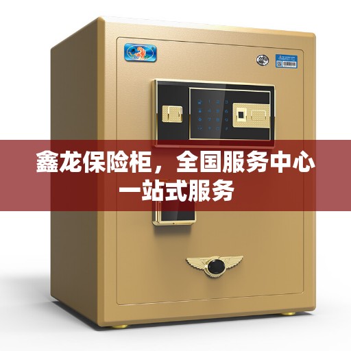 鑫龙保险柜，全国服务中心一站式服务