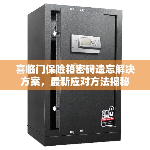 喜临门保险箱密码遗忘解决方案，最新应对方法揭秘