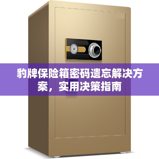 豹牌保险箱密码遗忘解决方案，实用决策指南