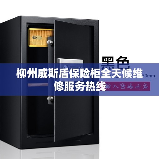 柳州威斯盾保险柜全天候维修服务热线