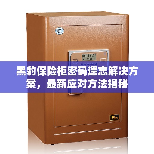 黑豹保险柜密码遗忘解决方案，最新应对方法揭秘