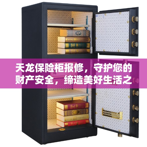 天龙保险柜报修，守护您的财产安全，缔造美好生活之选