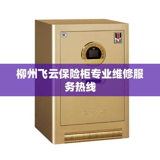 柳州飞云保险柜专业维修服务热线