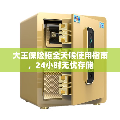 大王保险柜全天候使用指南，24小时无忧存储