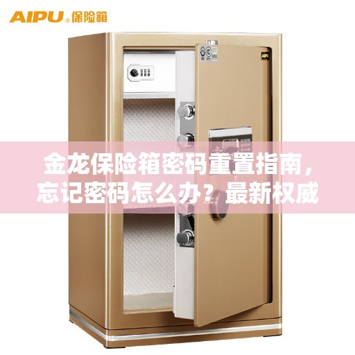 金龙保险箱密码重置指南，忘记密码怎么办？最新权威解决方案