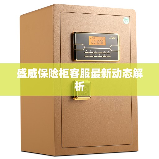 盛威保险柜客服最新动态解析