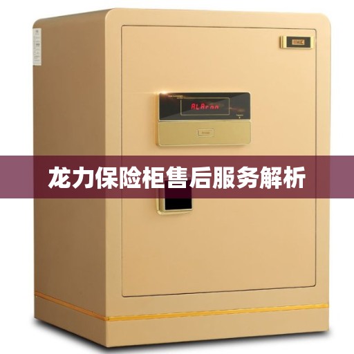 龙力保险柜售后服务解析