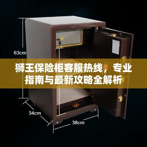 狮王保险柜客服热线，专业指南与最新攻略全解析