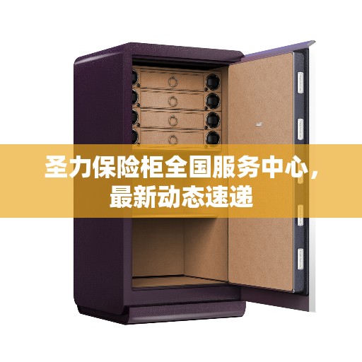 圣力保险柜全国服务中心，最新动态速递