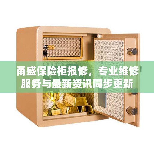 甬盛保险柜报修，专业维修服务与最新资讯同步更新
