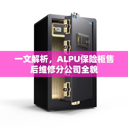 一文解析，ALPU保险柜售后维修分公司全貌