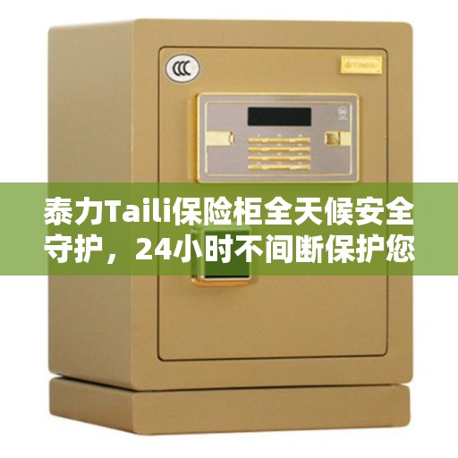 泰力Taili保险柜全天候安全守护，24小时不间断保护您的财产安全