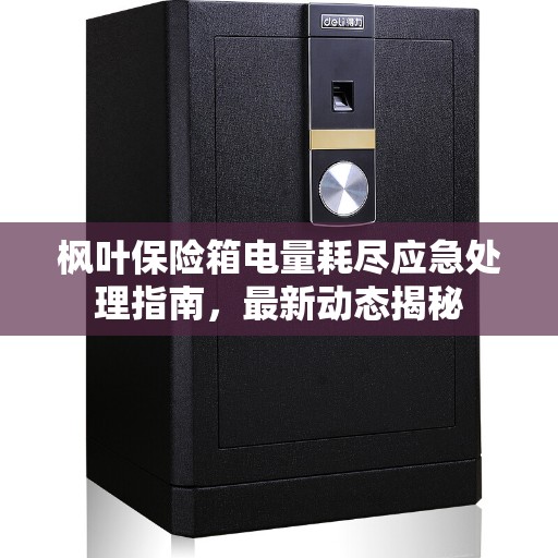 枫叶保险箱电量耗尽应急处理指南，最新动态揭秘
