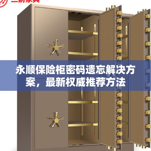 永顺保险柜密码遗忘解决方案，最新权威推荐方法