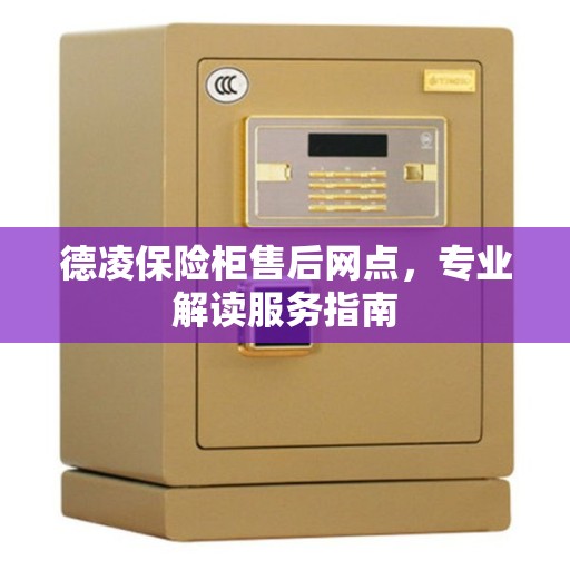 德凌保险柜售后网点，专业解读服务指南