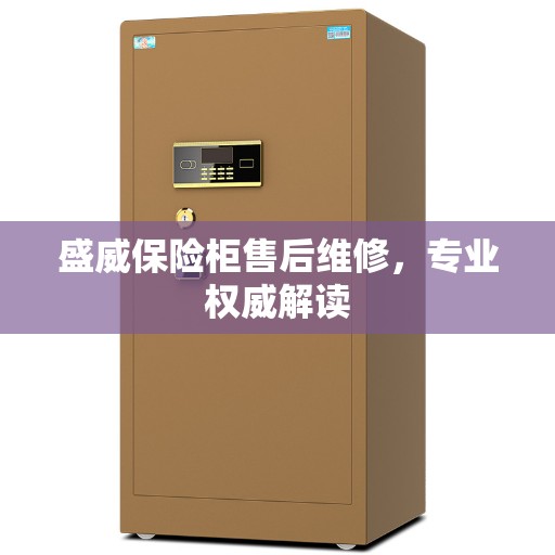 盛威保险柜售后维修，专业权威解读