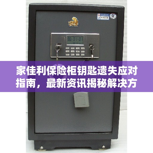 家佳利保险柜钥匙遗失应对指南，最新资讯揭秘解决方案