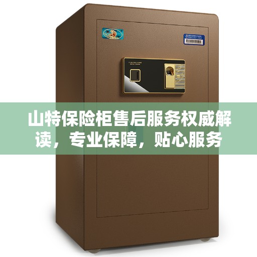 山特保险柜售后服务权威解读，专业保障，贴心服务