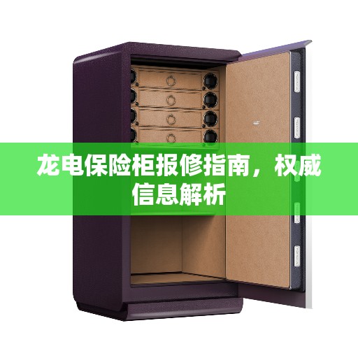 龙电保险柜报修指南，权威信息解析