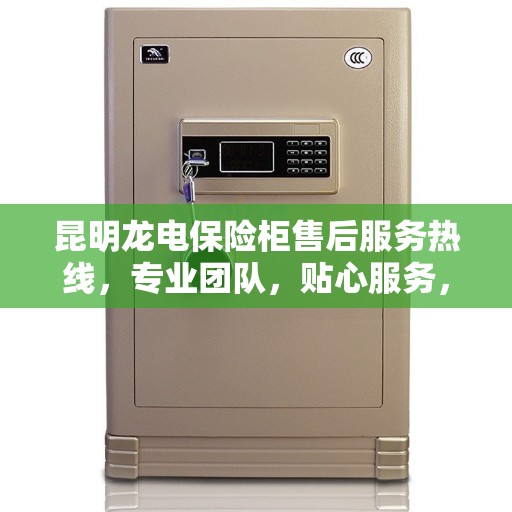 昆明龙电保险柜售后服务热线，专业团队，贴心服务，为您的安全保驾护航。